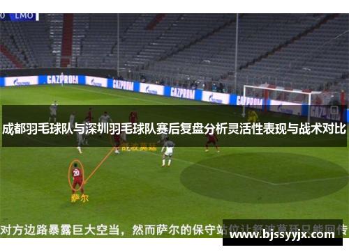 成都羽毛球队与深圳羽毛球队赛后复盘分析灵活性表现与战术对比